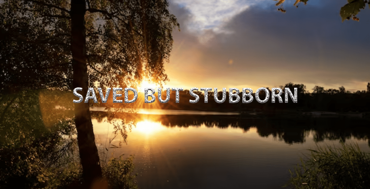 SAVED BUT STUBBORN